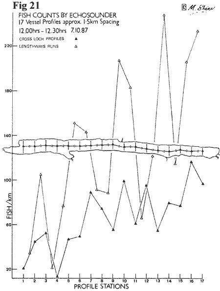 Loch Ness Fish Counts by Echosounder