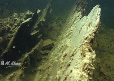 Underwater still image of the very clear water at Loch Morsr.