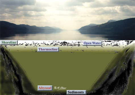 The Loch Ness Trench Profile with clickable habitats