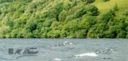 Loch Ness Shoreline and Crash Site Area